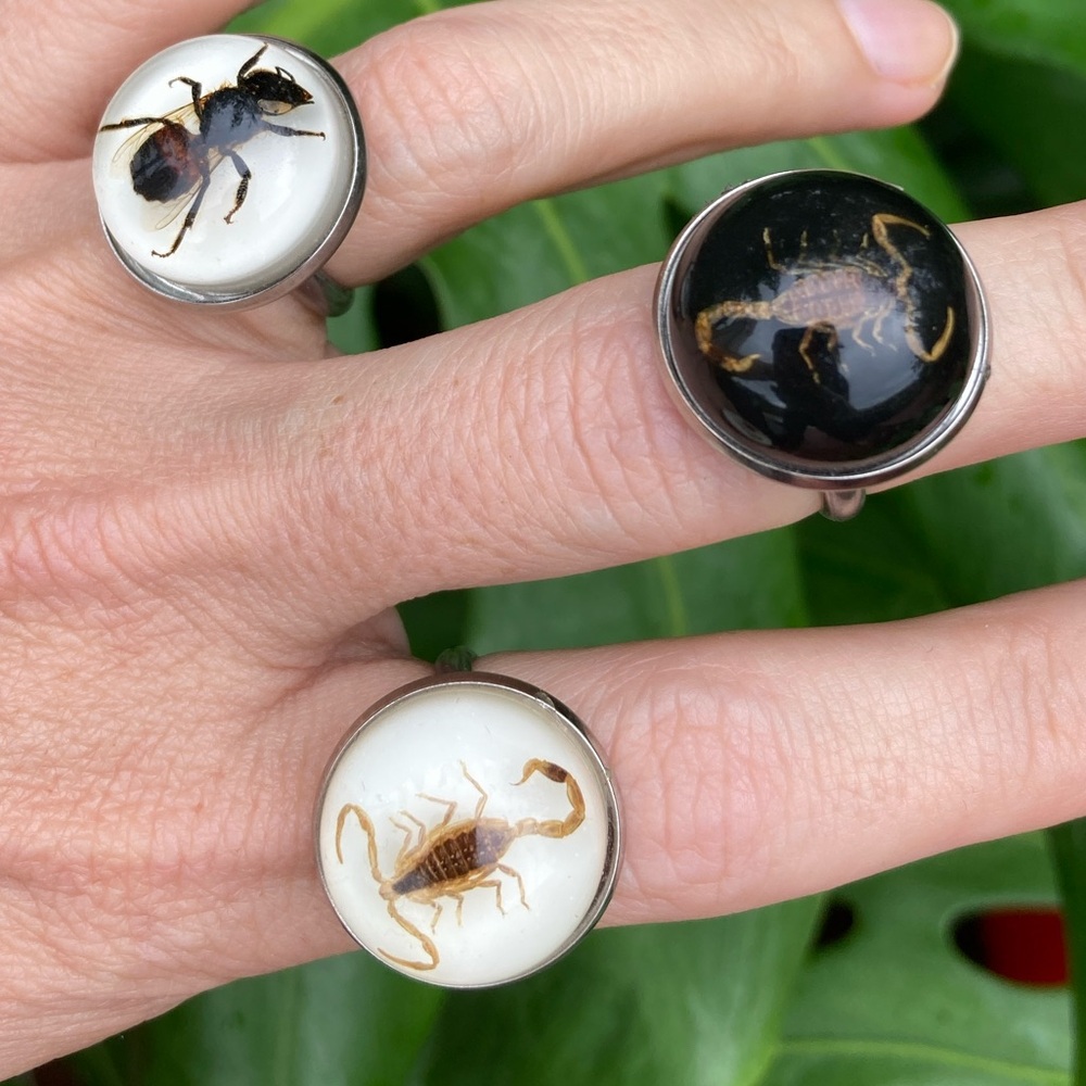 Real Scorpion or Bee Rings Adjustable Scorpio 20mm Stainless Steel Honeybee Ring